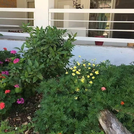 Apartment Ostria